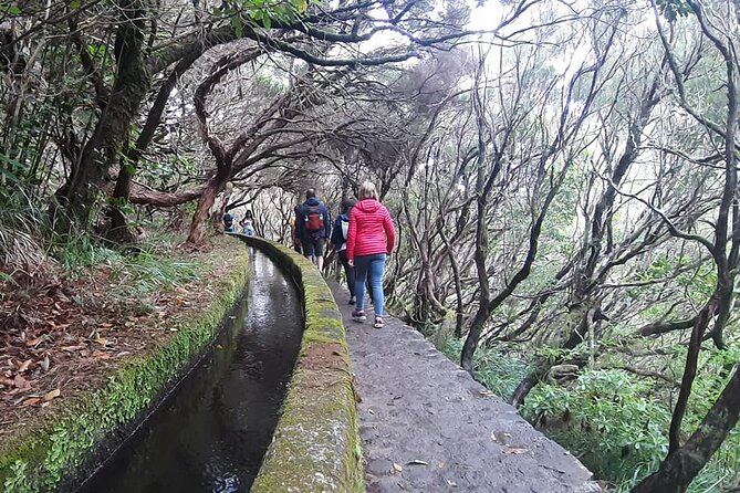 PR6 & PR6.1 25 Fontes & Risco Levada Self-Guided Hiking Rabaçal - Rain, footwear, and the physical effort