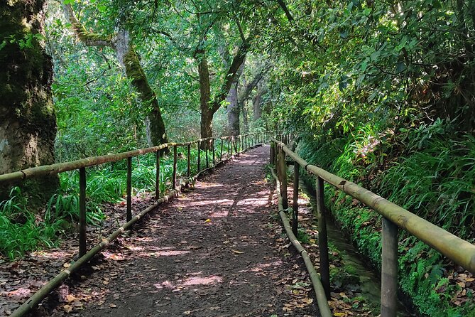 PR9 Caldeirão Verde Queimadas Levada Self-Guided Hiking Transfer - A self-guided walk through Madeira’s green heart