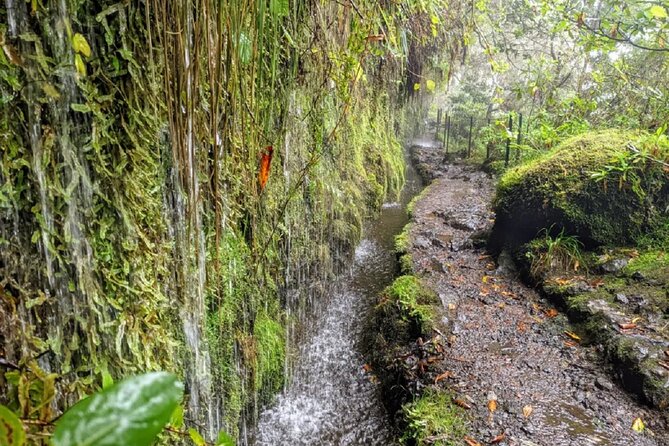 PR9 Caldeirão Verde Queimadas Levada Self-Guided Hiking Transfer - The Caldeirão Verde waterfall
