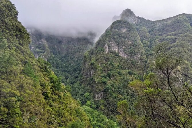 PR9 Caldeirão Verde Queimadas Levada Self-Guided Hiking Transfer - My verdict on PR9 Caldeirão Verde