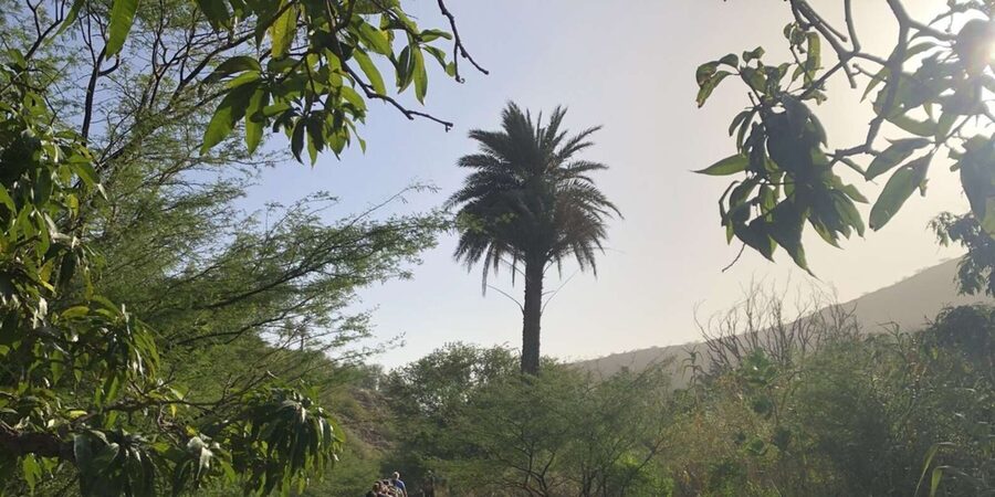 Praia: Baobab Mysterious Tree, Green Valley & Old City Hike - Arriving at Cidade Velha after the countryside