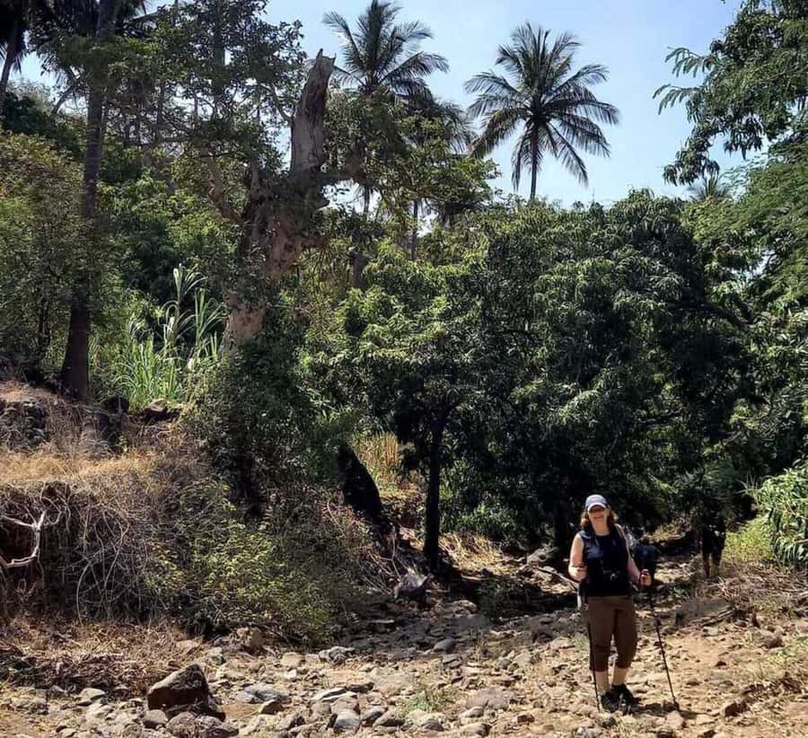Praia: Baobab Mysterious Tree, Green Valley & Old City Hike - What the $53 price really covers