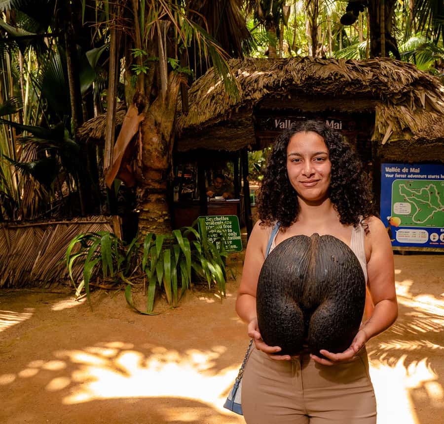 Praslin: Vallee de Mai Guided Hike with Transfer - The Coco de Mer, Praslin’s Most Famous Seed