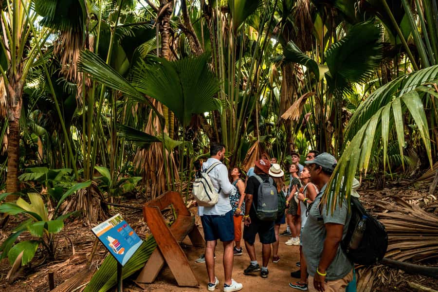 Praslin: Vallee de Mai Guided Hike with Transfer - A Guided Walk That Rewards Questions