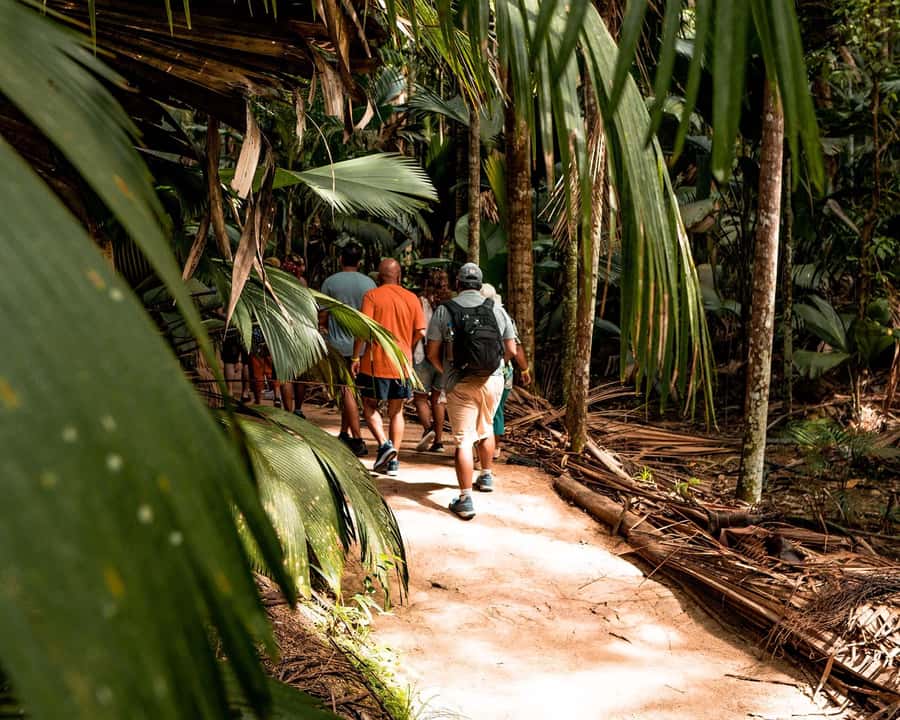 Praslin: Vallee de Mai Guided Hike with Transfer - What to Pack for the Forest