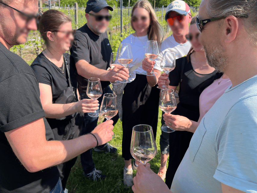 Premium wine hike Stuttgart with games and winemaker's snack - Key points to know before you book