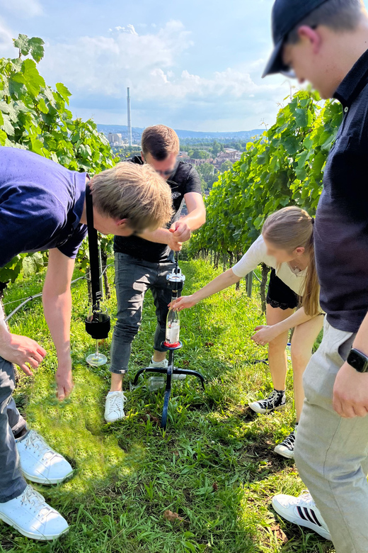 Premium wine hike Stuttgart with games and winemaker's snack - Who will enjoy this wine hike most