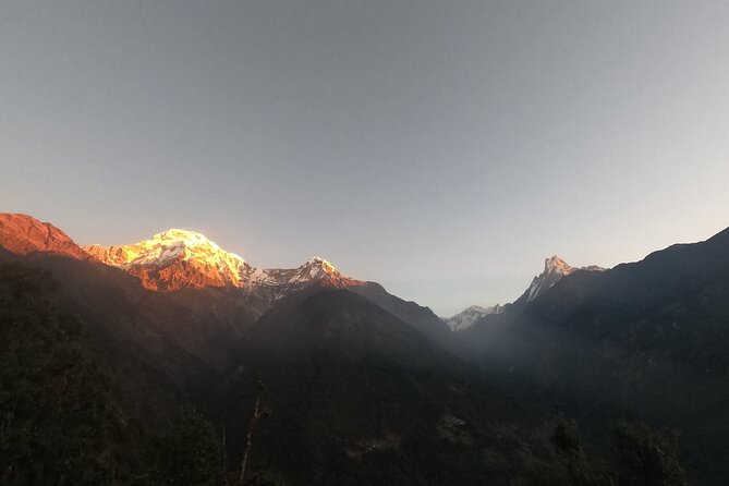 Private 7 - Day Annapurna Base Camp Trekking - Day 2: Chhomrong steps, Sinuwa, and Bamboo