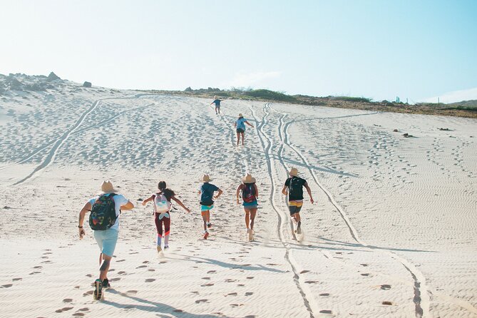Private Aruba National Park Hiking & Natural Pool Swimming - Key points at a glance