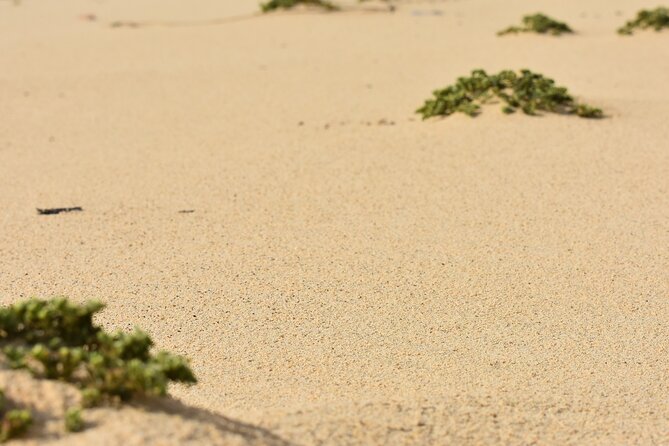 Private Aruba National Park Hiking & Natural Pool Swimming - The return route keeps the morning active