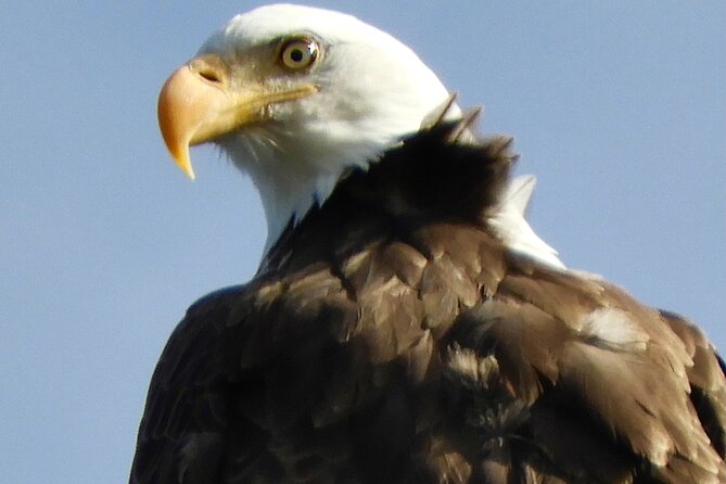 Private Birding Hike in Rocky Mountain National Park - Meeting Ryan in Arvada at 8:00 am