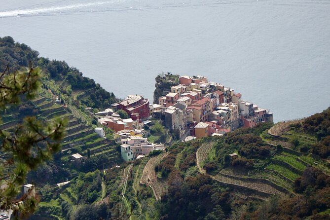 Private Cinque Terre Trek & Tour - What makes the local guide useful