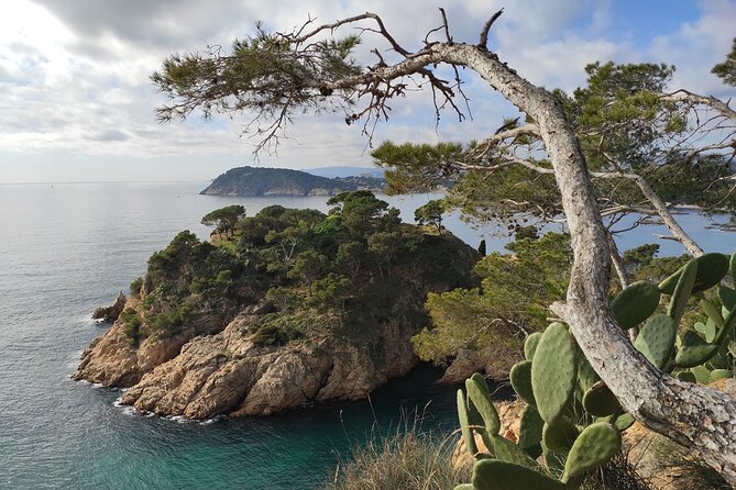 Private Costa Brava Hike and Snorkel from Barcelona with Lunch - Calella de Palafrugell gives the day a graceful finish