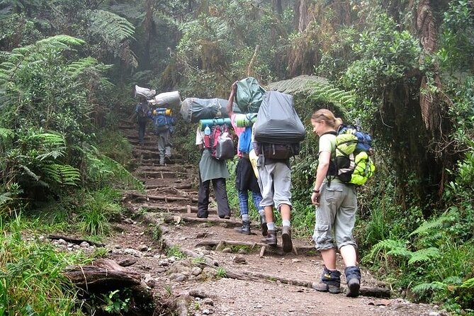 Private Day Tour Kilimanjaro Hike - Reaching Mandara Hut and stopping for lunch