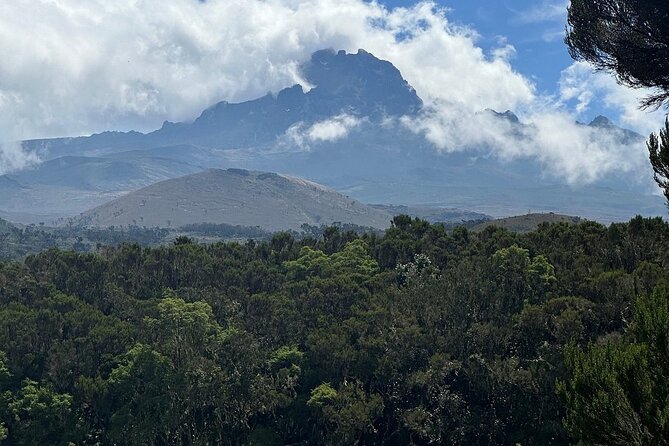 Private Day Tour Kilimanjaro Hike - The descent back to the main gate