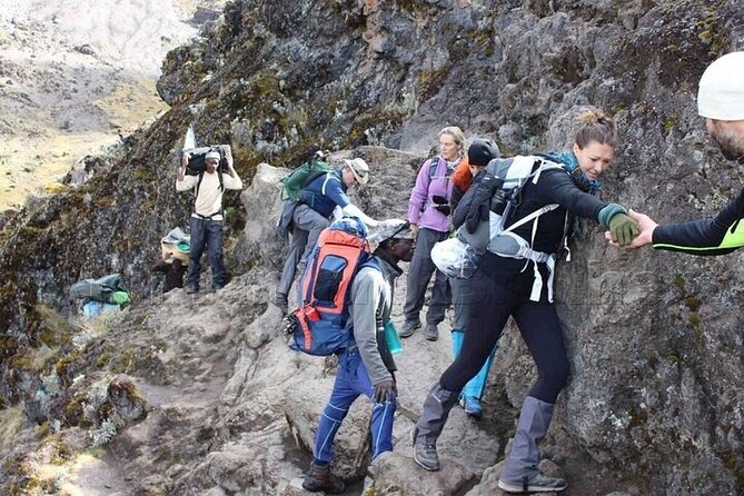 Private Day Tour Kilimanjaro Hike - Walking through Kilimanjaro’s rainforest