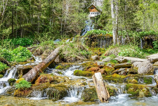 Private Daytrip Hike to Bucegi Mountains - Four hours on the Zănoaga trails