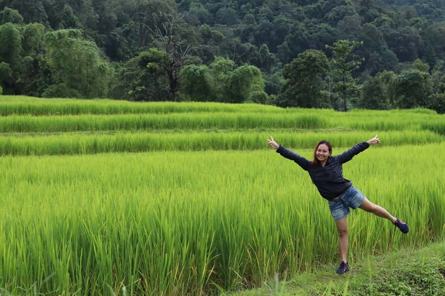 Private Doi Inthanon With Trekking Pha Dok Siew Nature Trail - Why Doi Inthanon makes a strong day trip from Chiang Mai