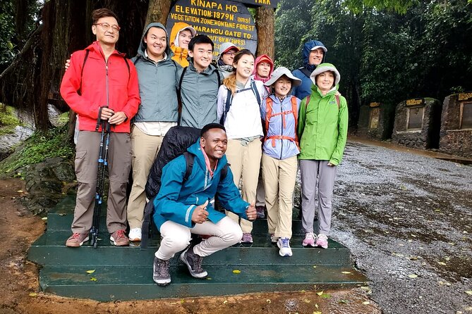 Private Full Day Hiking Experience to Marangu Route - Why Mandara Hut makes a smart Kilimanjaro trial