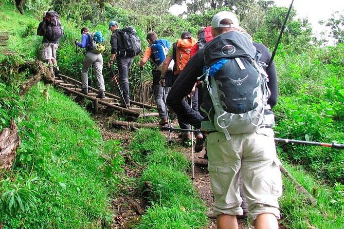 Private Full Day Hiking Experience to Marangu Route - Lunch with a mountain view