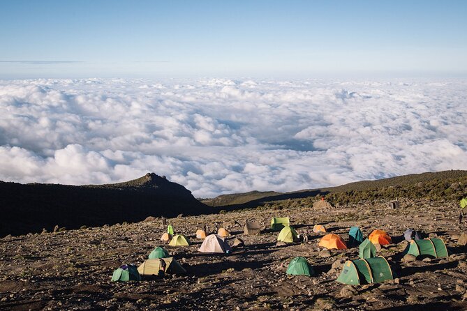 Private Full Day Hiking Experience to Marangu Route - The descent and the ride back