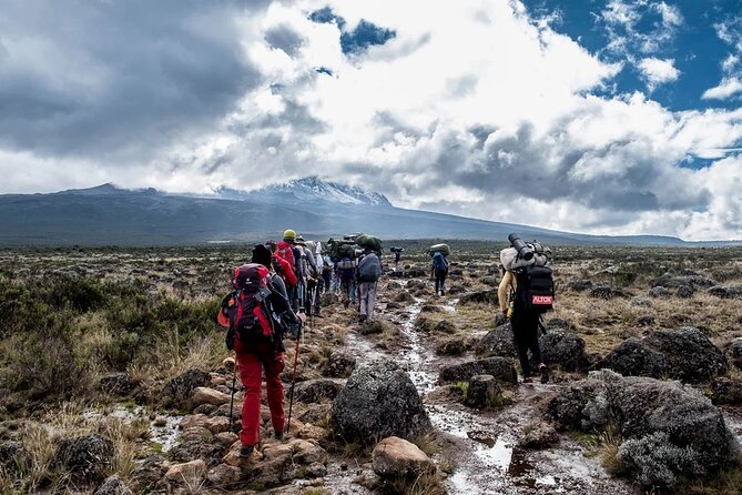 Private Full Day Hiking Experience to Marangu Route - What the $260 price really covers