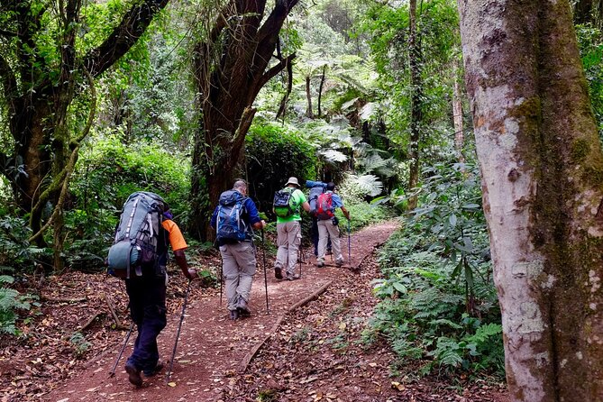 Private Full Day Hiking Experience to Marangu Route - Who will enjoy this day most