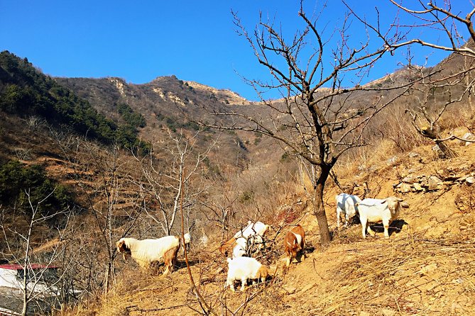 Private Great Wall Hiking Tour: Across The Border of 3 China Provinces - A 20-minute walk to a mountain-village meal