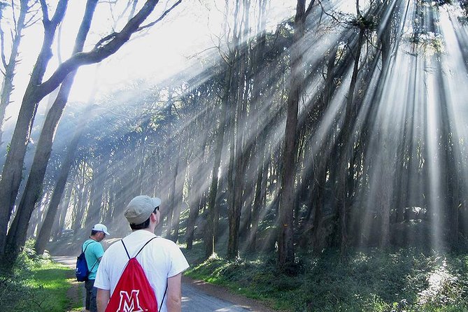 Private Guided Hike in Sintra-Cascais National Park, Lisbon - What the guide adds to the walk