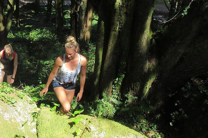 Private Guided Hike in Sintra-Cascais National Park, Lisbon - Getting there and planning the booking