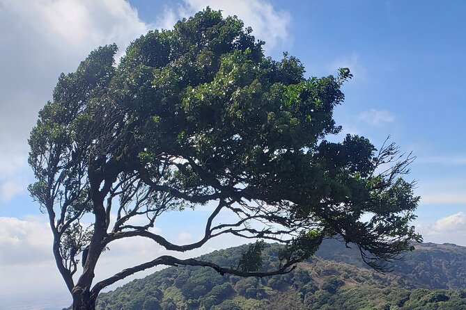 Private Half Day Hike to Ngong Hills from Nairobi - Crossing all seven hills