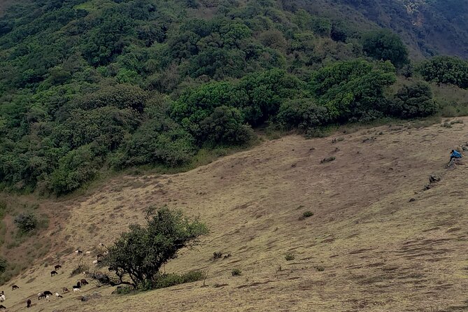 Private Half Day Hike to Ngong Hills from Nairobi - Wind, weather, and the gear that matters