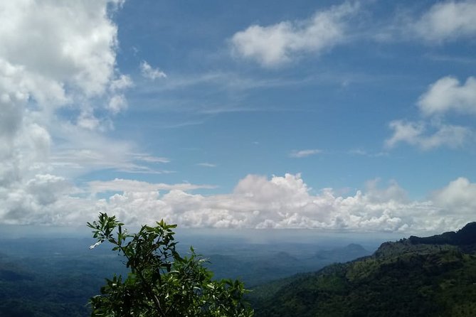 Private Hiking Adventure to the Little Adam’s Peak And Nine Arches Bridge. - Walking beneath the Nine Arches Bridge