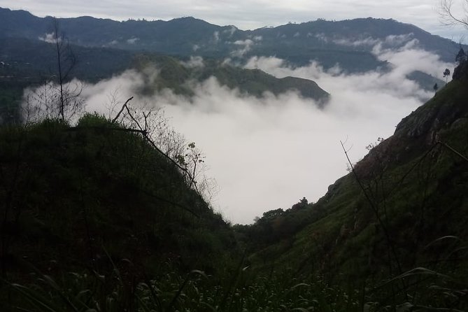 Private Hiking Adventure to the Little Adam’s Peak And Nine Arches Bridge. - What the private guide adds