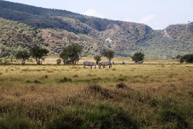Private Hiking Day Trip to Mt. Longonot from Nairobi - Why Mt. Longonot makes a strong Nairobi day trip