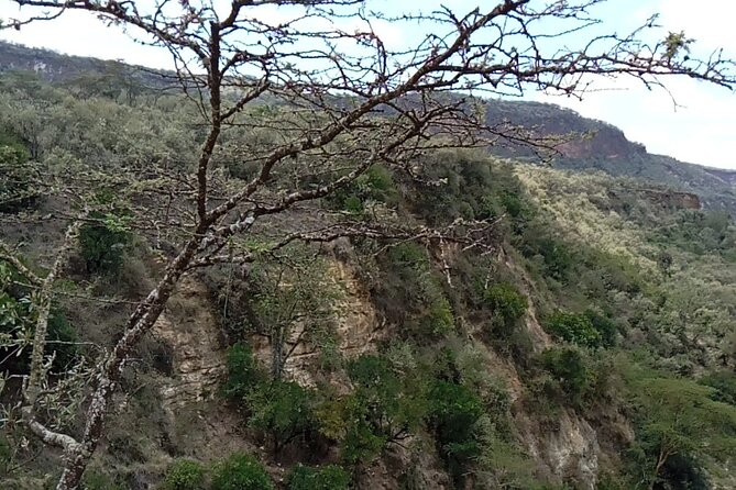 Private Hiking Day Trip to Mt. Longonot from Nairobi - Climbing through Mt. Longonot National Park