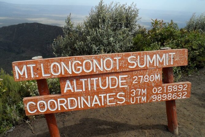 Private Hiking Day Trip to Mt. Longonot from Nairobi - What the hike feels like in practice