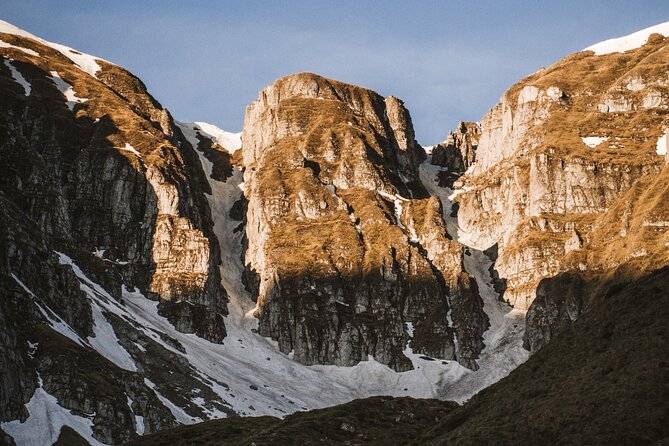 Private Hiking to Bucegi Natural Park from Brasov - Wildlife, plants, and the bear question