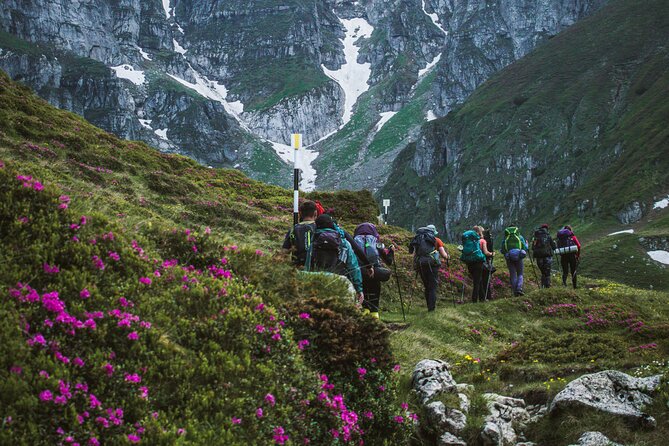 Private Hiking to Bucegi Natural Park from Brasov - The descent from 4:30 pm to 6:00 pm