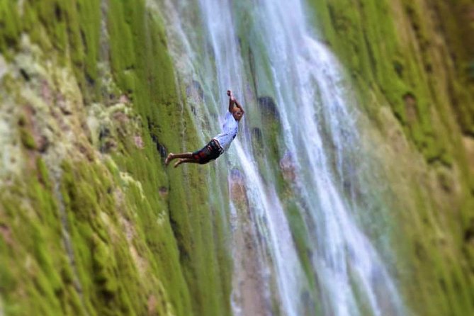 Private Hiking to Salto el Limon with a Local expert Guide from Samana - The hike through nature and wildlife