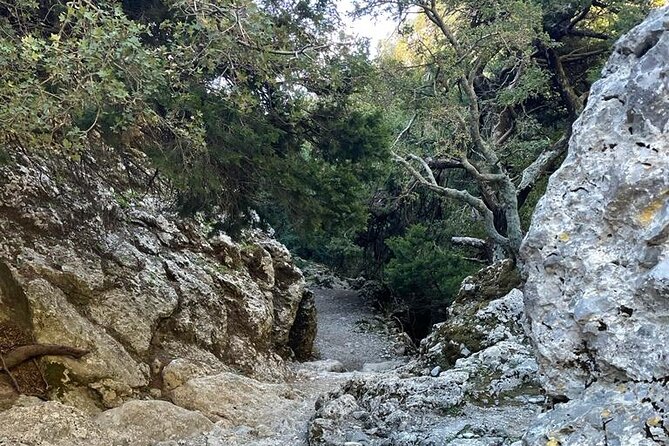 Private Hiking Tour in Imbros Gorge (Chania) - Snacks, poles, and the small comforts
