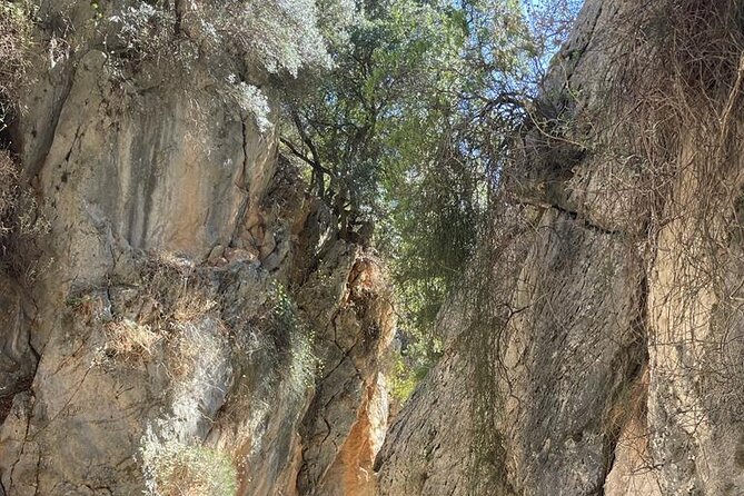 Private Hiking Tour in Imbros Gorge (Chania) - Frangokastelo fortress and the sandy beach