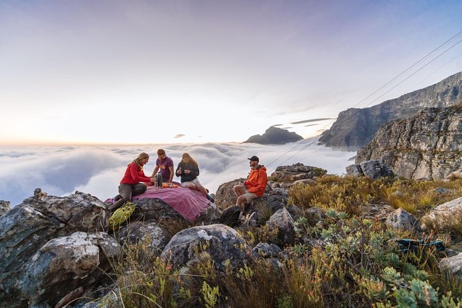 Private Hiking Tour of Table Mountain - Choosing between the cable car and the five-hour climb