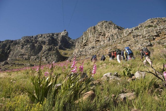 Private Hiking Tour of Table Mountain - What the guide adds to Table Mountain