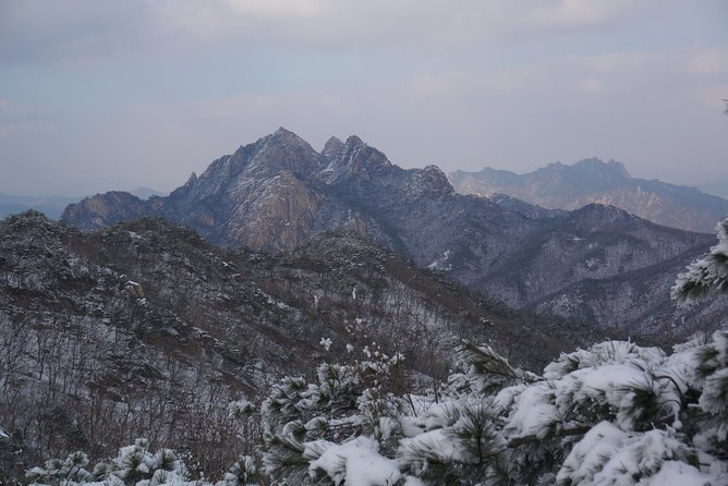 Private Hiking tour to Bukhansan Peak(Baegundae: 836.5m) with Mountain Expert - Hotel pickup and the first trail decisions
