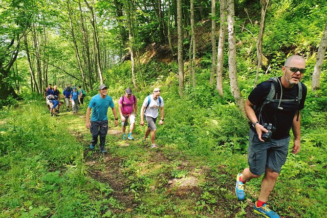 Private Hiking Tour to Machakhela National Park from Batumi - Starting at the visitor center