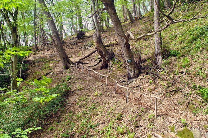 Private Hiking Tour to Machakhela National Park from Batumi - A private day with George or another English-speaking guide