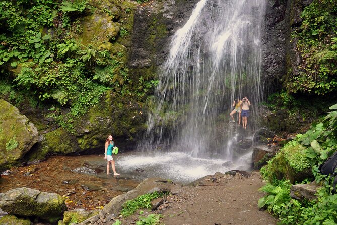 Private Hiking Tour to Mtirala National Park from Batumi - Key points at a glance