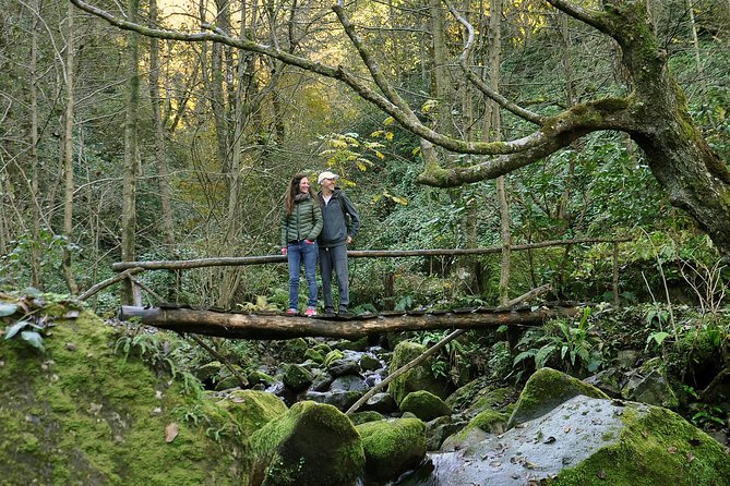 Private Hiking Tour to Mtirala National Park from Batumi - From Batumi’s hotels to Mtirala’s forest