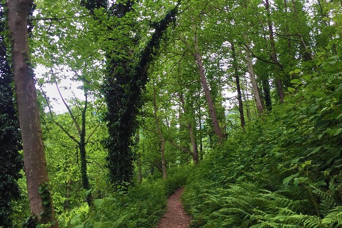 Private Hiking Tour to Mtirala National Park from Batumi - Lake views, a waterfall, and time near the water